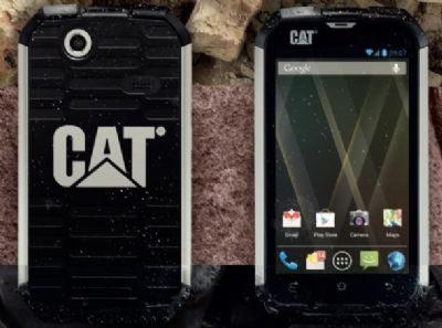 Cat, robusto, Caterpillar